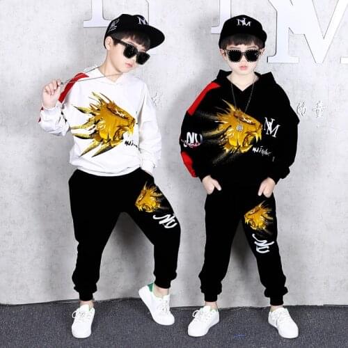 2Pcs Children Hip Hop Clothes Set Boys Girls Autumn Hoodies+ Haren Pants Cotton Tracksuit 8 10 12 Years Teenagers Kids Clothes
