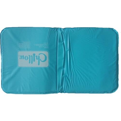 Comfortable Summer Cool Therapy Help Sleeping Aid Pad Mat Muscle Relief Cooling Gel Pillow Ice Pad Massager Water Pillows