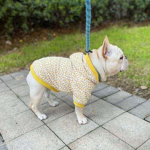 Dog Clothes Spring Pet Costumes Autumn Dog Hoodie Shirt for French Bulldog Fruit Print Pug Teddy Corgi Little Cat Puppy Clothing