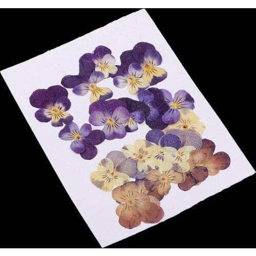 20pcs Natural Real Pressed Dried Flower for DIY Craft Jewelry Making Handmade Resin Ornament