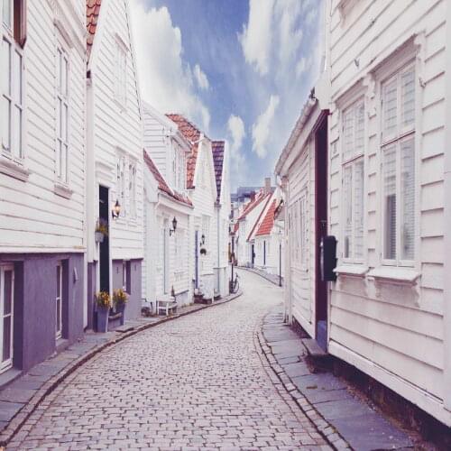 Photography Backdrop for Party 5x7 Digital Vinyl Background Studio Newborn Wedding Photo Booth Fotografia