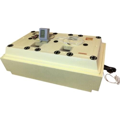 Золушка Products For Birds