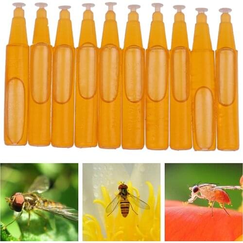 New 10 Pcs / Bag Fruit Fly Attractant 2ml Trap Bait Beekeeping Hive Tool Killer Swarm