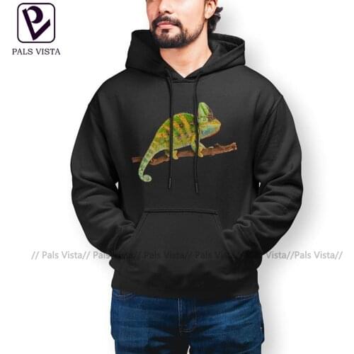 Pals Vista Fashionable Men's Hoodies