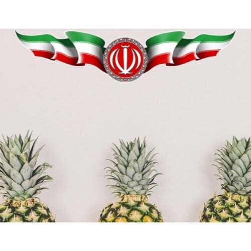 Iran National Emblem Country Symbol Mark Pattern Removable Wall Sticker Art Decals Mural DIY Wallpaper for Room Decal