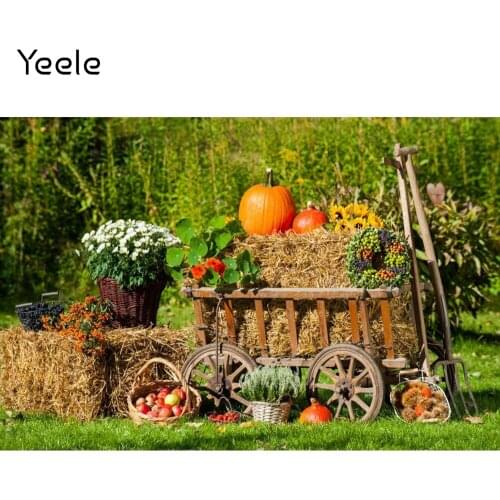 Yeele Autumn Harvest Pumpkins Haystack Photography Background Baby Happy Thanksgiving Day Photocall Backdrop For Photo Studio