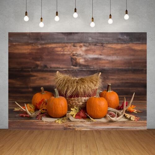 Vinyl Photography Backdrop for Photo Studio Wooden Wall Floor Halloween Pumpkins Photographic Background Baby Children Photocall