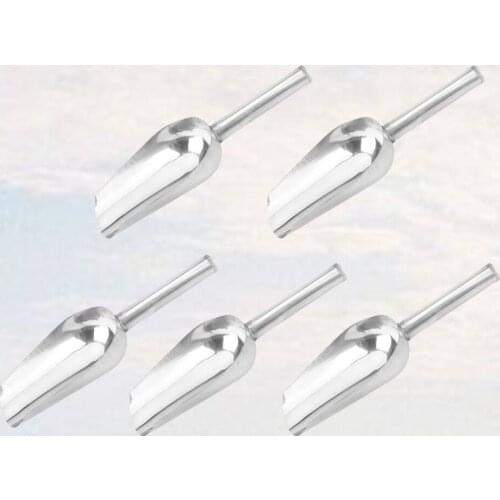 5pcs Stainless Steel Ice Scoop Chips Shovel Multifunction Flour Scoopers Rice Shovel for Tea Candy Dessert Bean Food (8 Inches)