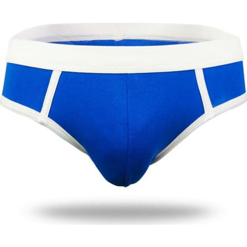 Mens Sexy See Through Briefs Mesh Gauze Sheer Transparent Seamless Panties Underwear Low-Rise Ultra-Thin Male Underpants Cuecas