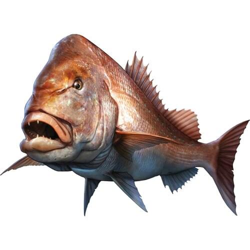 Fashion Car Sticker Large Mouth Bass Fish Fishing Pagrus Major Boat Kayak Automobiles Exterior Accessories PVC Decals