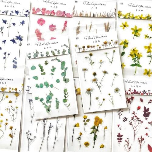 1 Sheet Specimen Style PVC Flowers Plants Bullet Decorative Stickers Diary Notebook Decoration