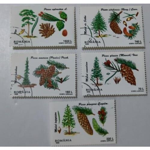 5PCS 1996 Romanian fir ， Post Stamps Postage Collection