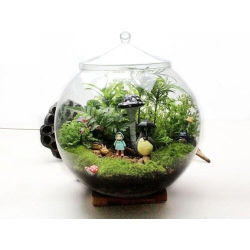 1PC HandmadeMicro Ecological Transparent Vase Multi-function Glass Vases With Cover Wedding Decoration Home Decoration JY 1203