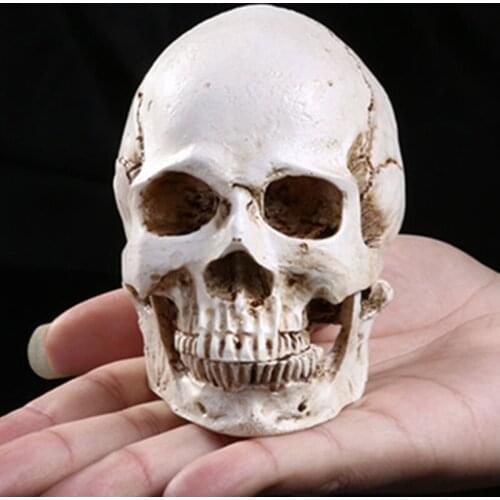Mini Skull Head Skull Ornament Decorative Sculpture Gift for Halloween Resin Simulation Skull