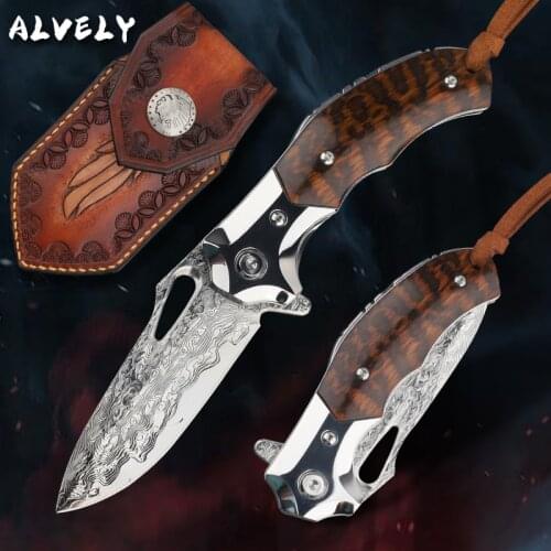 Outdoor Portable Folding Knife VG10 Damascus Steel Outdoor Camping High Hardness Hunting Tactical Blade EDC Utility Tool for Men