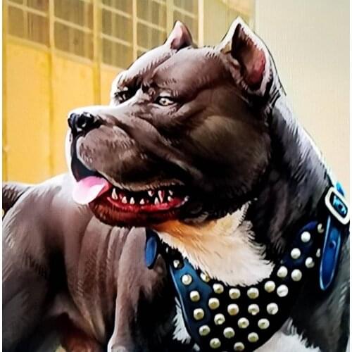 5D Pitbull Dog Full Diamond Painting cross stitch kits art High Quality Animal 3D paint by diamonds