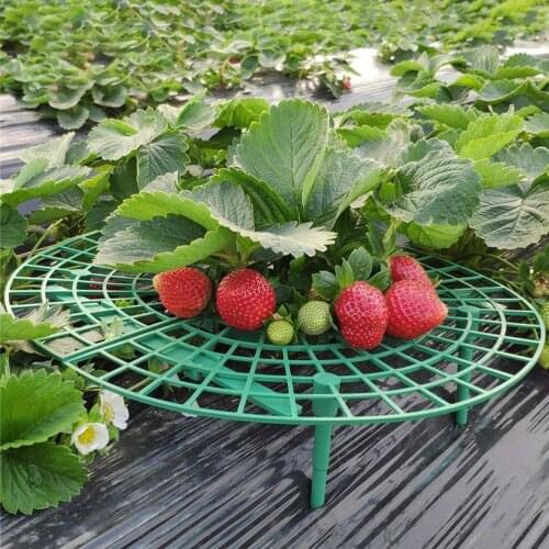 Strawberry Stand Frame Holders Balcony Planting Rack Plants Fruit 5/10/15 PCS