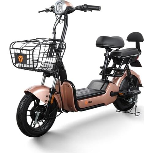 Yadea Electric Assist Bicycle E Bike 48v12ah Lead Acid Battery Wangzi 3c