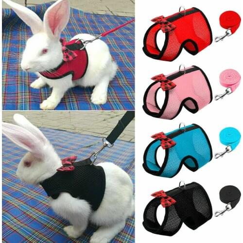 Genenic Pet Supplies