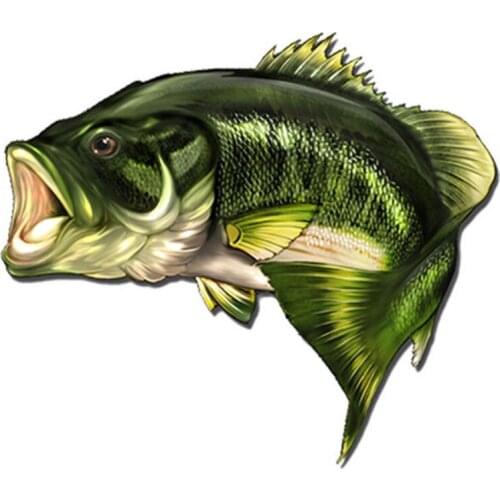 Car Bass Fish Fishing Stickers Boat Kayak Decals Truck Laptop Window 3D Sticker #276314