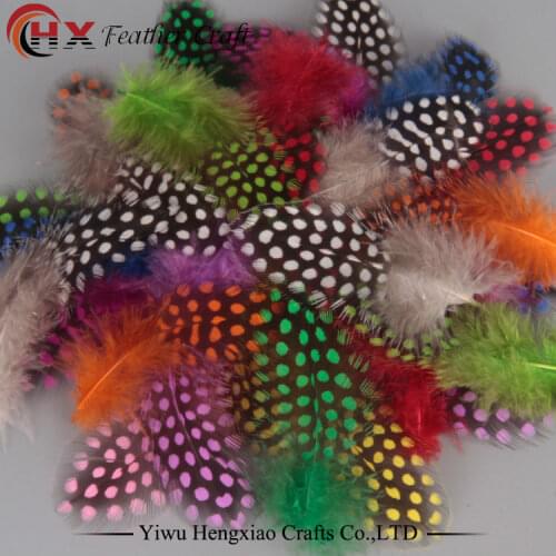 Sale 100pcs / Lot 4-8cm Cheap Small Chicken Pheasant Feathers Beautiful Gull Feather Plume Decoration Accessories