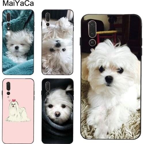 Maltese Dog Puppy Case For Huawei P30 Pro P20 P40 Mate 20 Lite P Smart 2019 Nova 5T Honor 8A 8X 9X 10i 20
