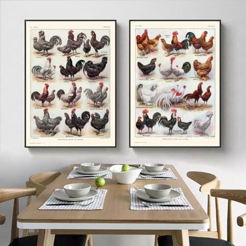 French Hens and Roosters Breeds Print Poultry Chickens Vintage Poster Kitchen Wall Art Canvas Painting Pictures Home Room Decor