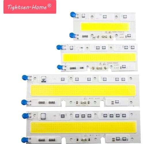 LED COB Chip Lamp 30W 50W 70W 100W 220V 110V IP65 Smart IC No Driver Fit For DIY LED Flood Light Spotlight Cold White Warm White
