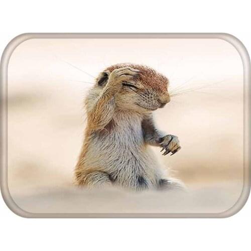 40x60cm Cute Diy Print Floor Mat Bathroom Ground Mat Slip Door Bath Pad Rug Living Room Kitchen Carpet Home Decor Animal