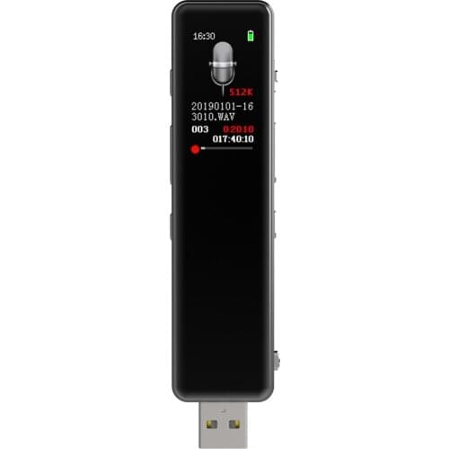 Digital Audio Voice Recorder with MP3 Player