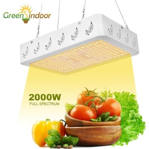Grow Tent Phyto Lamp 1000W 2000W Full Spectrum LED Grow Light Lamp For Plants Hydroponics Fitolamp Indoor Herbs Veg and Flowers