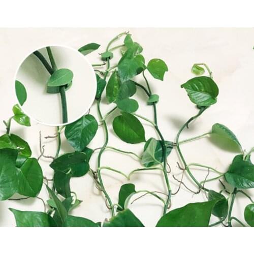 Plant Fixture Clip Plant Climbing Wall Self-Adhesive Fastener Tied Fixture Vine Buckle Hook Garden Plant Wall Climbing