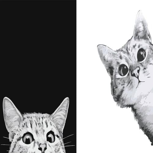 Paint By Number Black And White Cat Oil Painting Wall Art Gift DIY Picture By Numbers Acrylic Kits Home Decor For Children