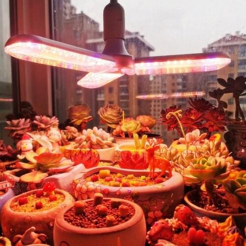 Phytolamps For Plants UNLIBOOM China
