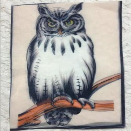 Patches for clothing T shirt Women 26cm 3D Owl bird Embroidery patch T-shirt Womens Fashion Tops Shirt Femmer Lady Clothes