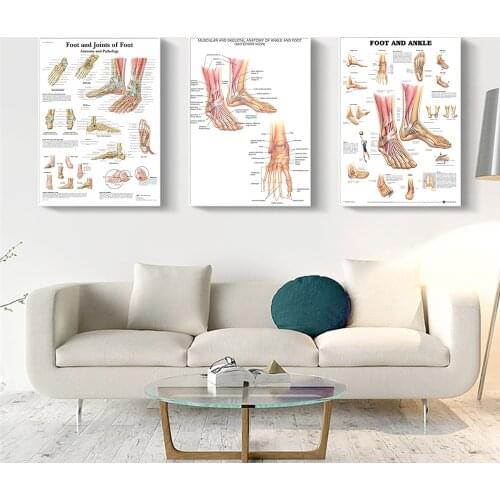Foot And Ankle Reflex Zone Joint Of Foot Anatomy And Pathology Diagram Propaganda Poster Canvas Painting Wall Art Pictures Decor