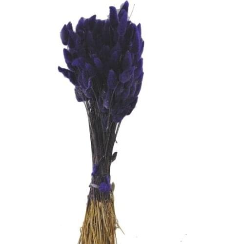 Dry flower Natural Dried flower Colorful 35 cm1 Bundle decoration artificial flower искусственный цветок