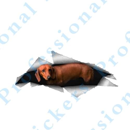 3D Animal 13 x6.2 Albino Burmese python Car Sticker Torn Metal Decal Reflective Stickers Waterproof Car Styling Snake Decals