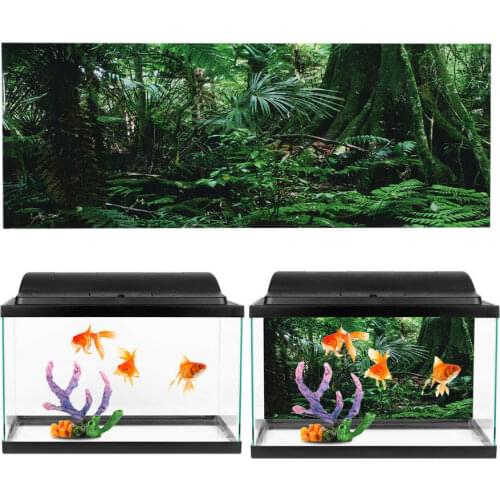 PVC Reptile Terrarium Decoration Aquarium Background Poster Rainforest Landscape