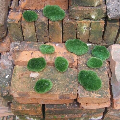 8/10x Artificial Moss Fake Stones Grass Green Plant Landscape Pathway Decoration