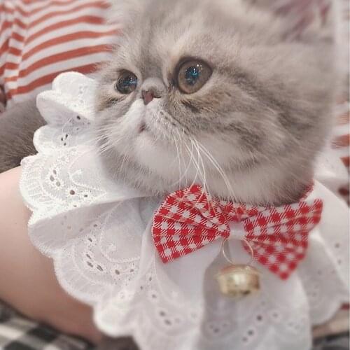 Pet Collar Fashion Lovely Creative Bowknot Decor Pet Bib Pet Costume Collar