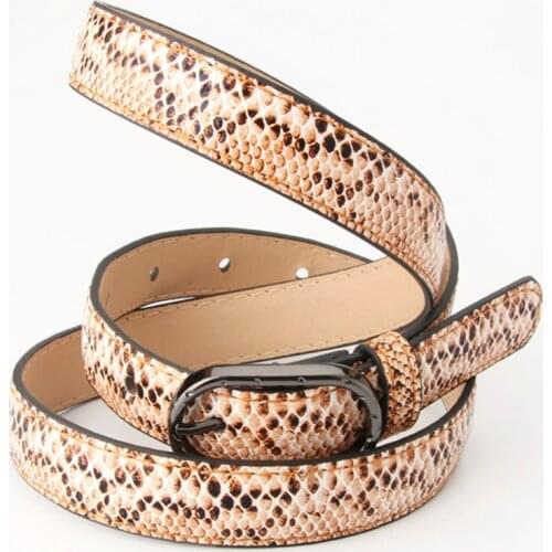 New Snake Skin PU Leather Leopard Waistband Cummerbund Metal Buckle Party Women Waist Belt for Girl Dress Girdle Accesorios
