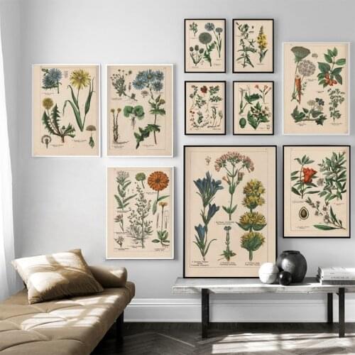 Vintage Botanical Herbs Posters and Prints Home Wall Decor , Antique Plant Botany Wall Art Painting Pictures Kraft paper poster