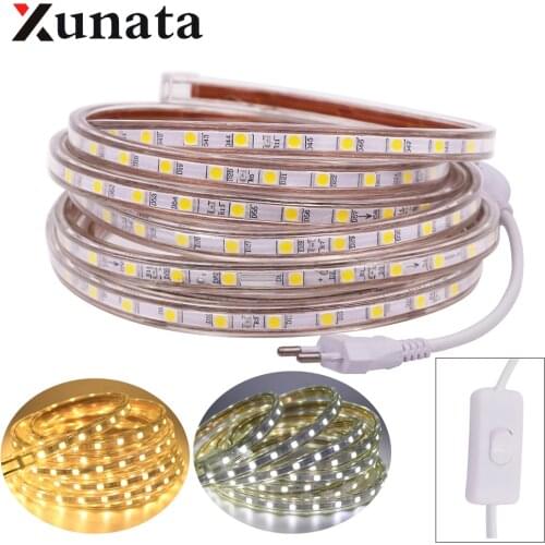 LED Strip 220V Waterproof 60LEDs/m Flexible Tape Ribbon SMD 5050 LED Light Strip With EU Switch Plug white/warm white/blue