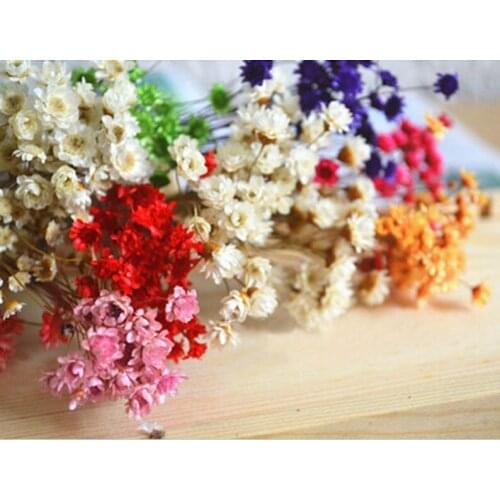 150PCS dried flowers,for Filler of the mini glass bottles,MINI Star daisy