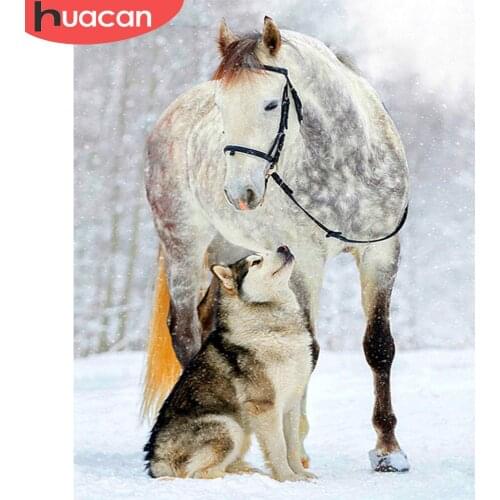 HUACAN Painting By Number Animal Horse Hand Painted Wall Art Drawing Acrylic Picture By Numbers Winter Gift Home Decor