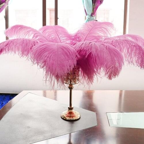 10PCS Wholesale Pink Wedding Ostrich Feathers for VASE Crafts Decoration Thick Rod High Quality 20-50CM