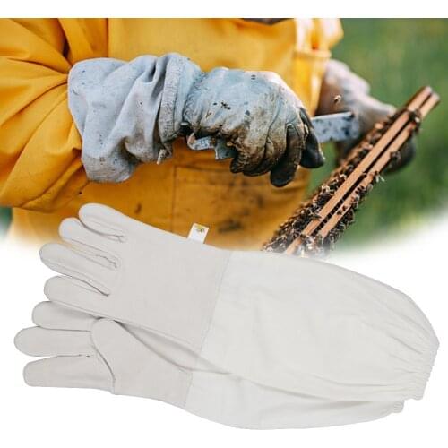 Beekeeping Gloves Bee Tools For Beekeeping Equipment Beekeeper Suppiler