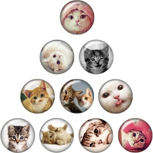 Lovely cats cartoon cats 10pcs mixed 12mm/16mm/18mm/25mm Round photo glass cabochon demo flat back Making findings