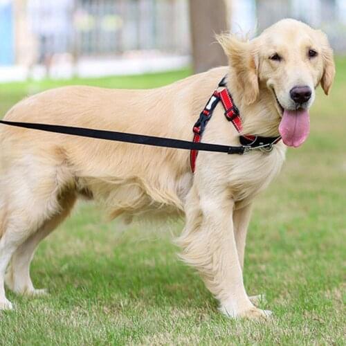 Pet traction with dog collar dog chest back traction belt walking dog walking traction rope cowboy sturdy Pet Supplies